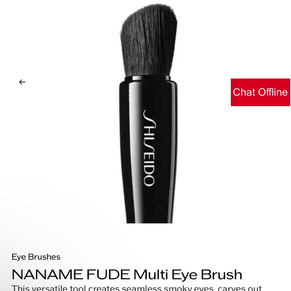 Shiseido Black Eye Brush